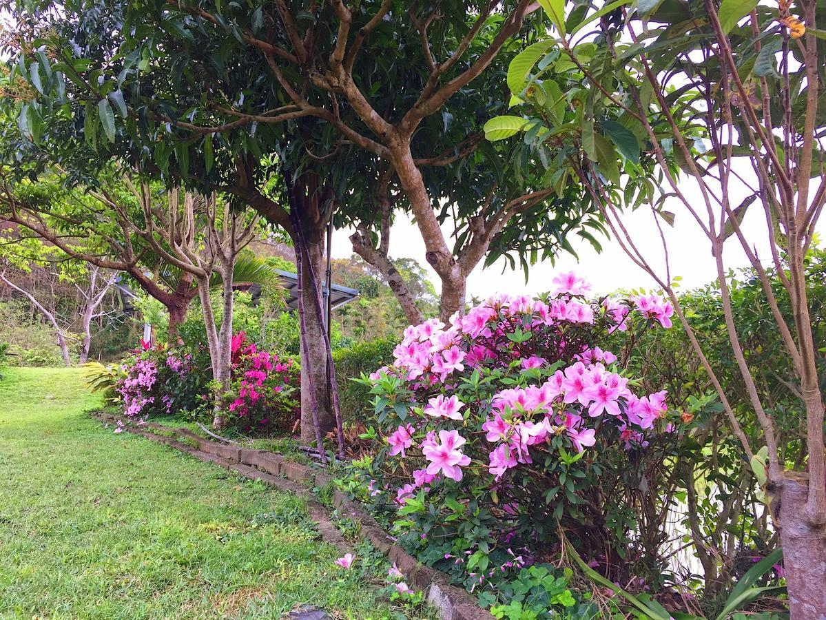 Jiu An Qing Jing Homestay Fuli Εξωτερικό φωτογραφία